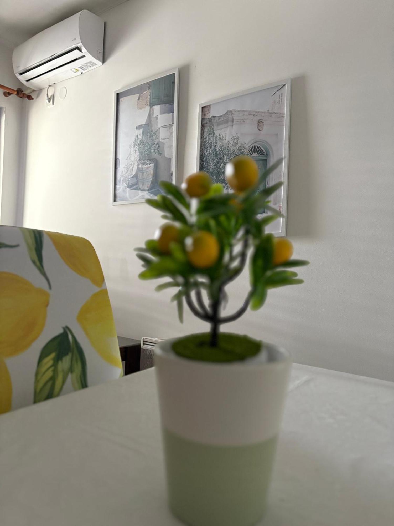 Apartments Herceg Novi Pokoj fotografie