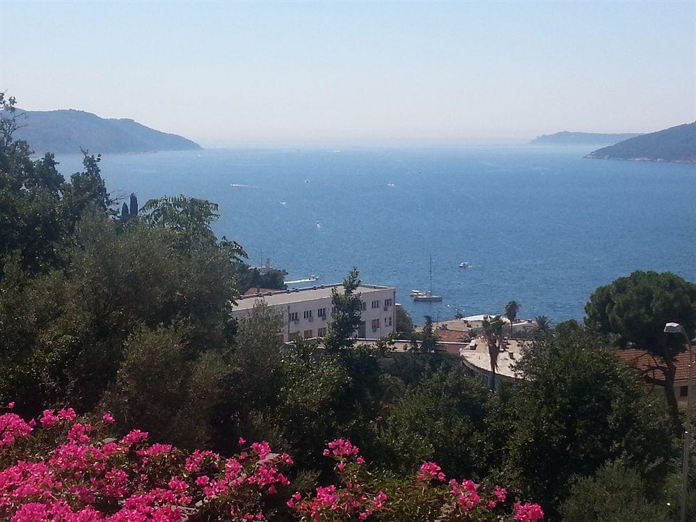 Apartments Herceg Novi Exteriér fotografie