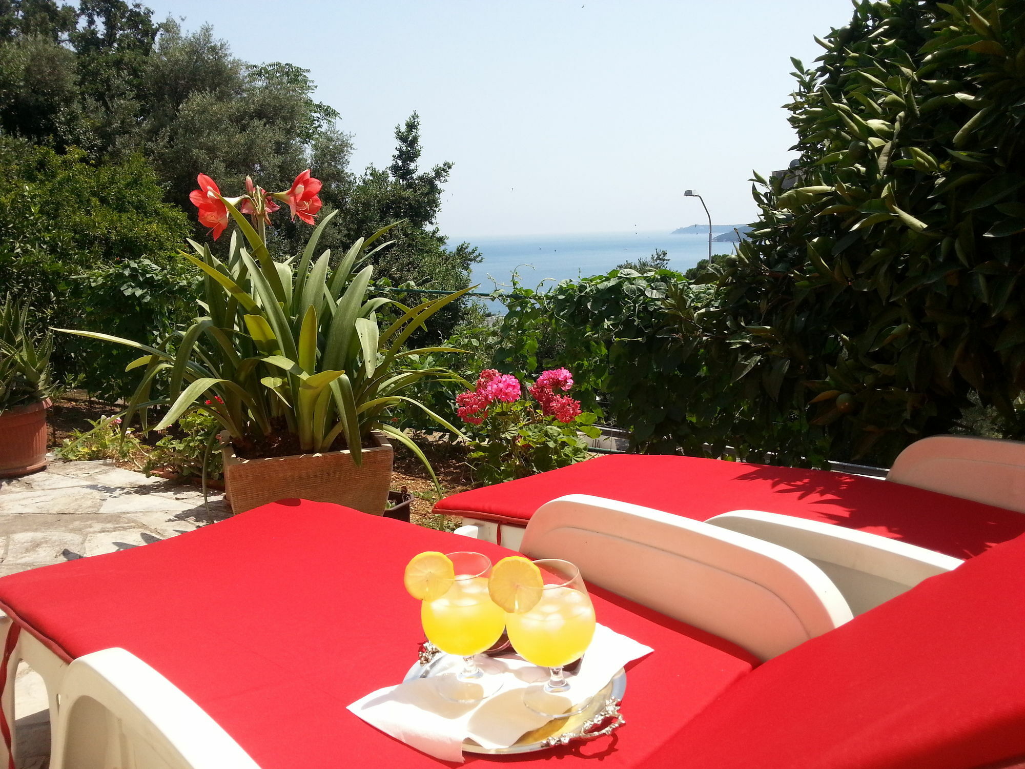Apartments Herceg Novi Exteriér fotografie